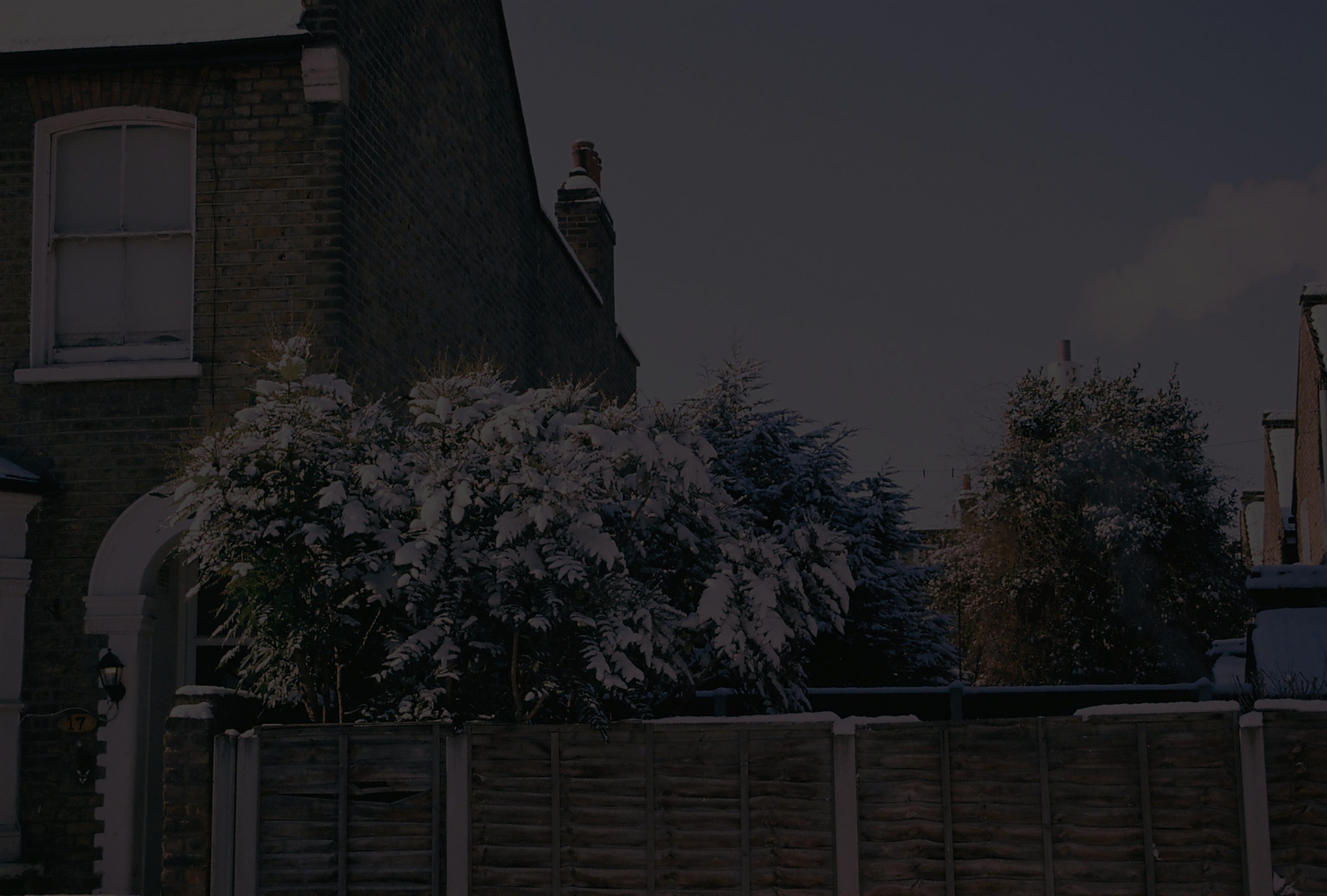 winter scene